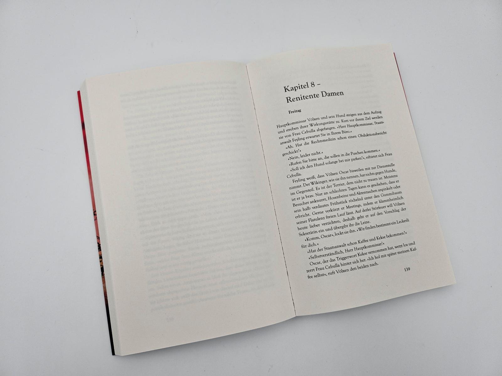 Beispielinhalt (Bild) Deine Welt wird brennen