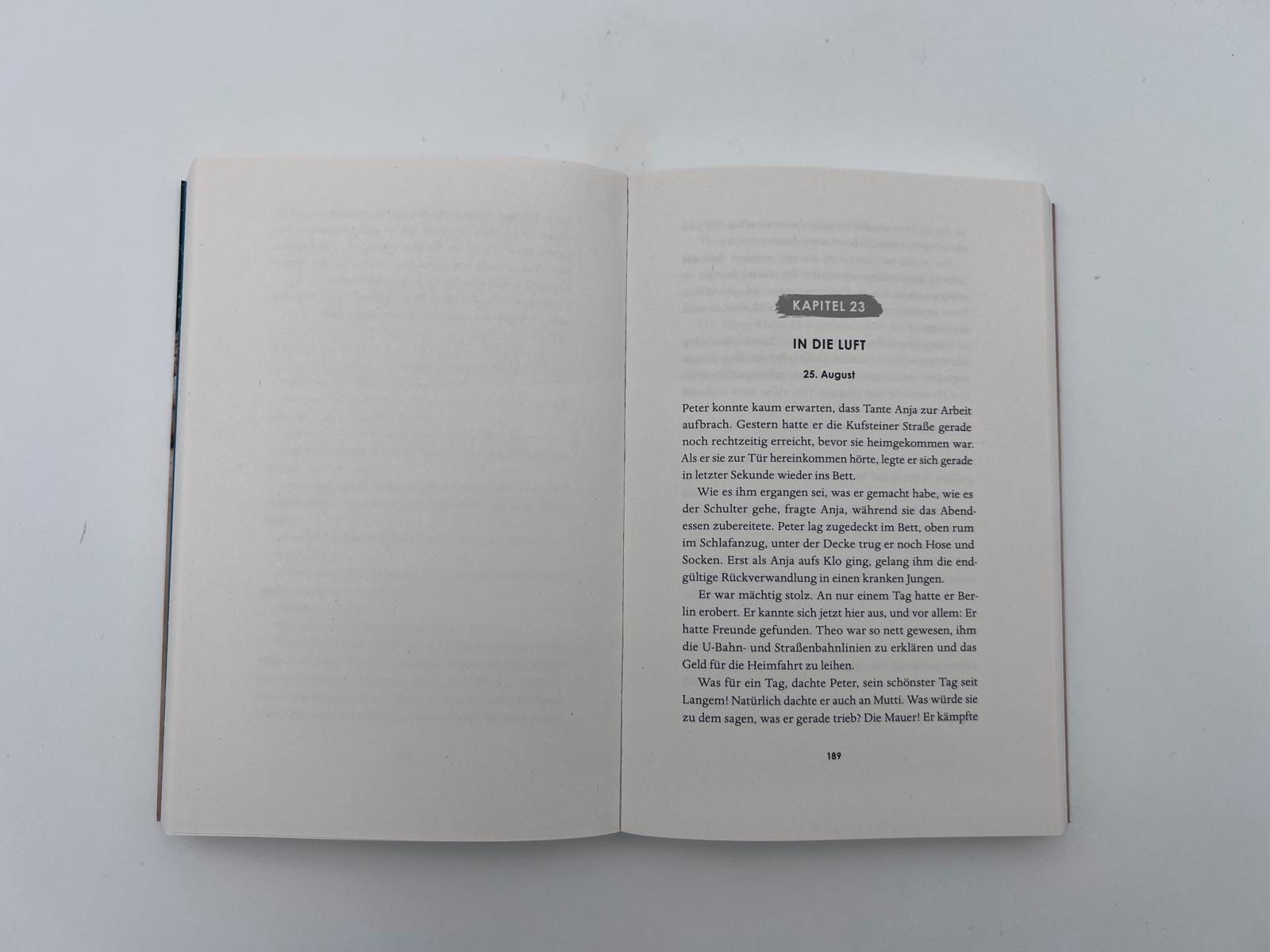 Beispielinhalt (Bild) Die gespaltene Stadt