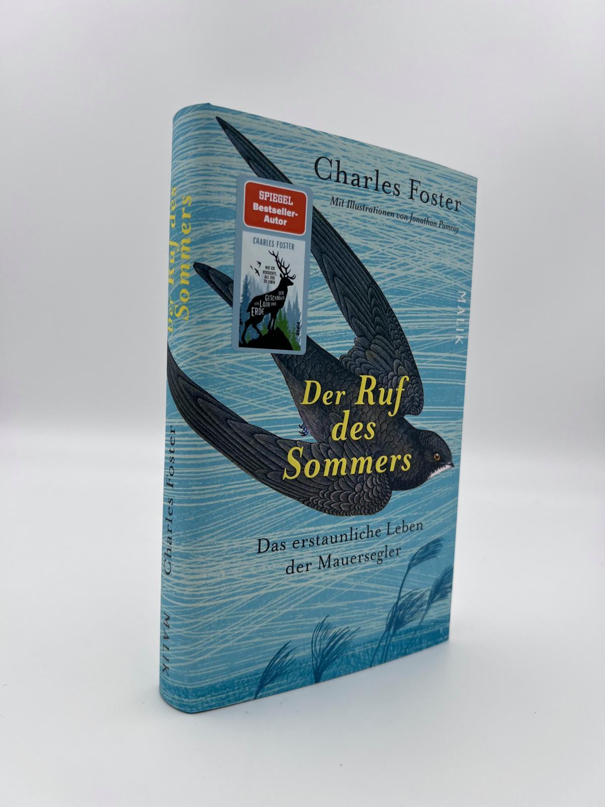 Beispielinhalt (Bild) Der Ruf des Sommers