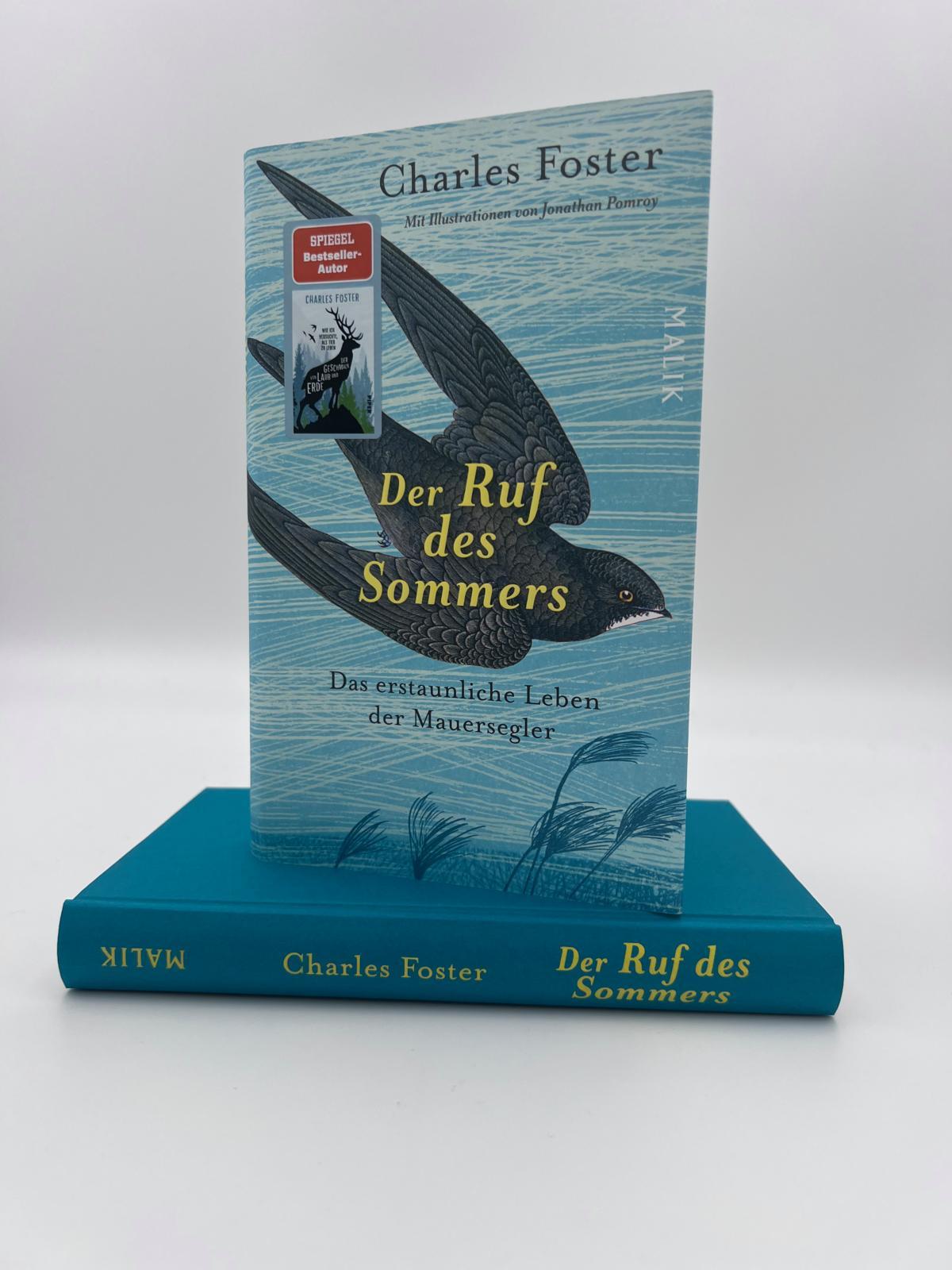 Beispielinhalt (Bild) Der Ruf des Sommers