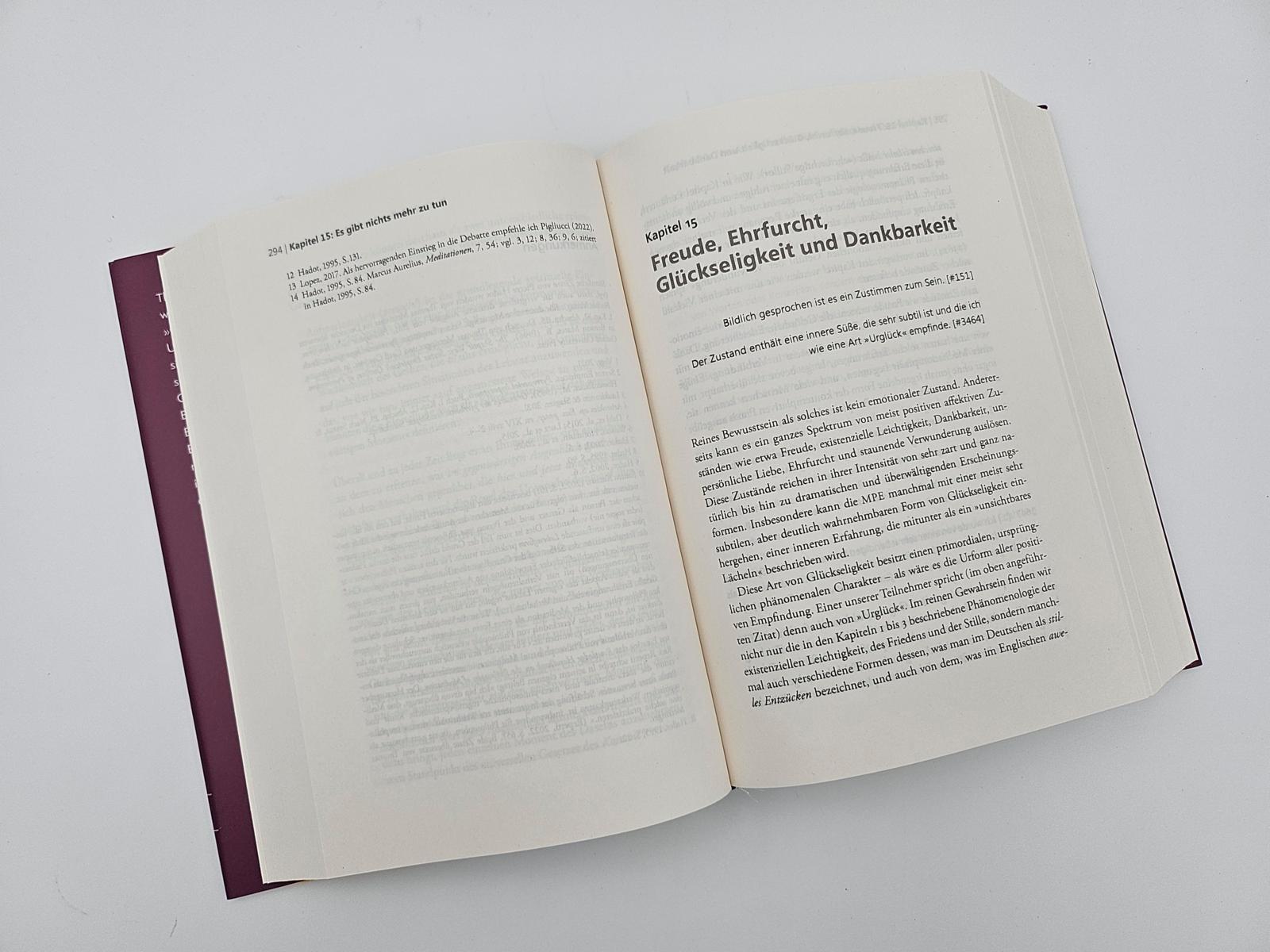 Beispielinhalt (Bild) Der Elefant und die Blinden