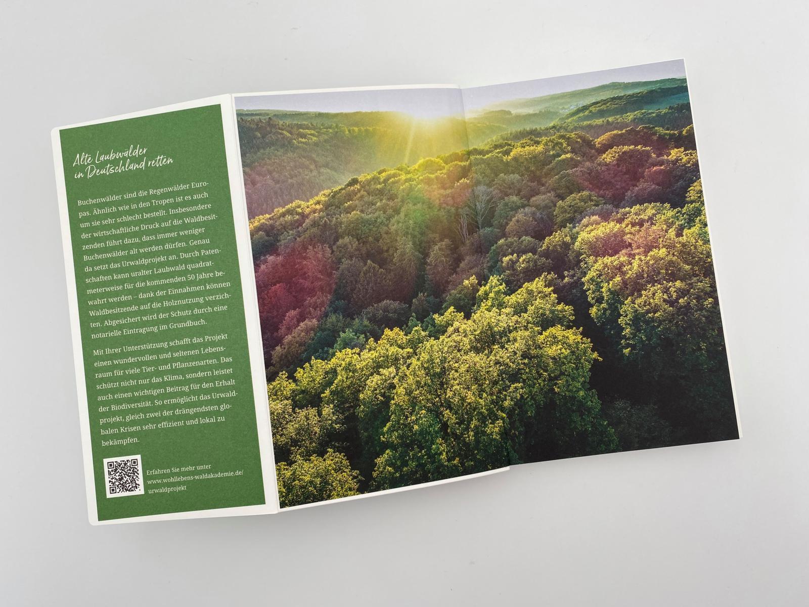 Beispielinhalt (Bild) Gebrauchsanweisung für den Wald