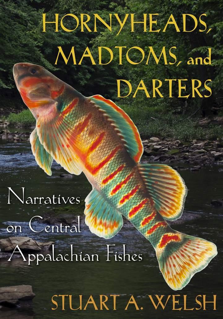 Vorderes Coverbild Hornyheads, Madtoms, and Darters