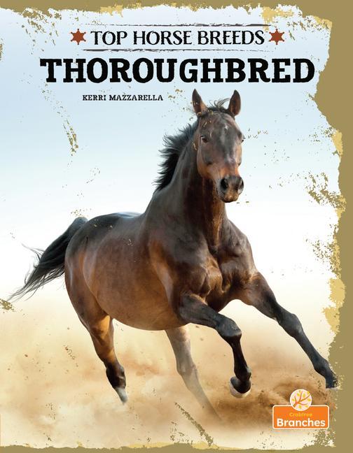 Vorderes Coverbild Thoroughbred