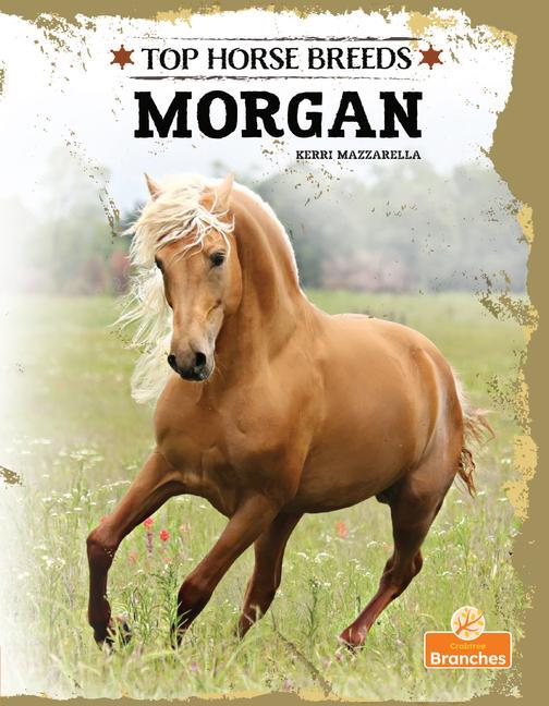 Vorderes Coverbild Morgan