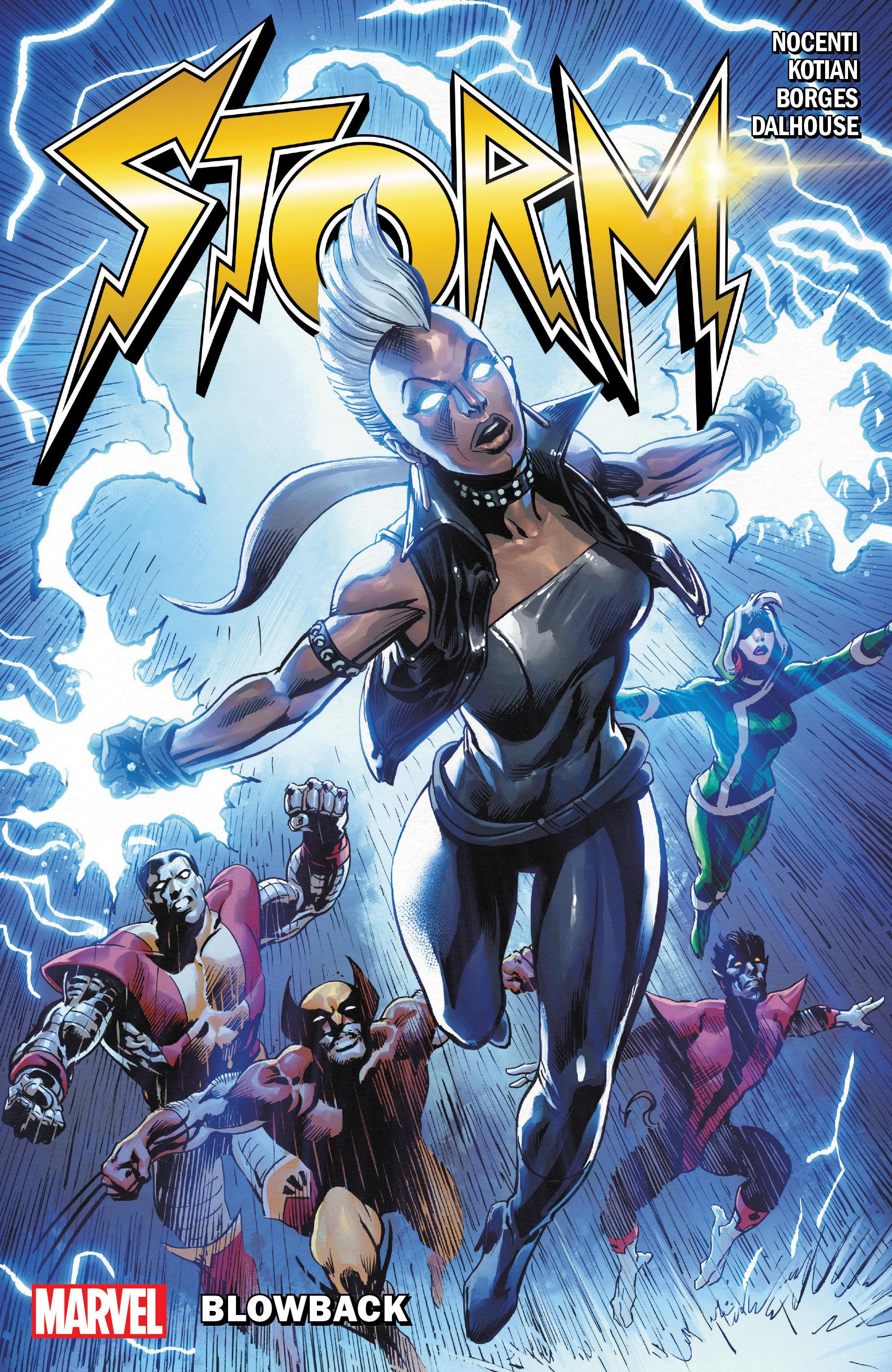 Vorderes Coverbild Storm: Blowback
