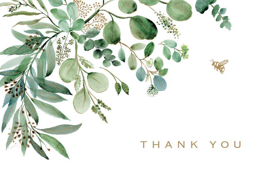Vorderes Coverbild Eucalyptus Thank You Note Cards (14 Cards, 15 Self-Sealing Envelopes)