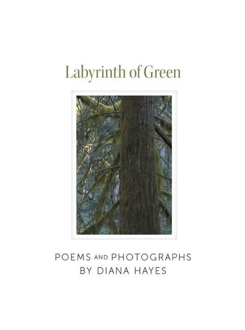 Vorderes Coverbild Labyrinth of Green