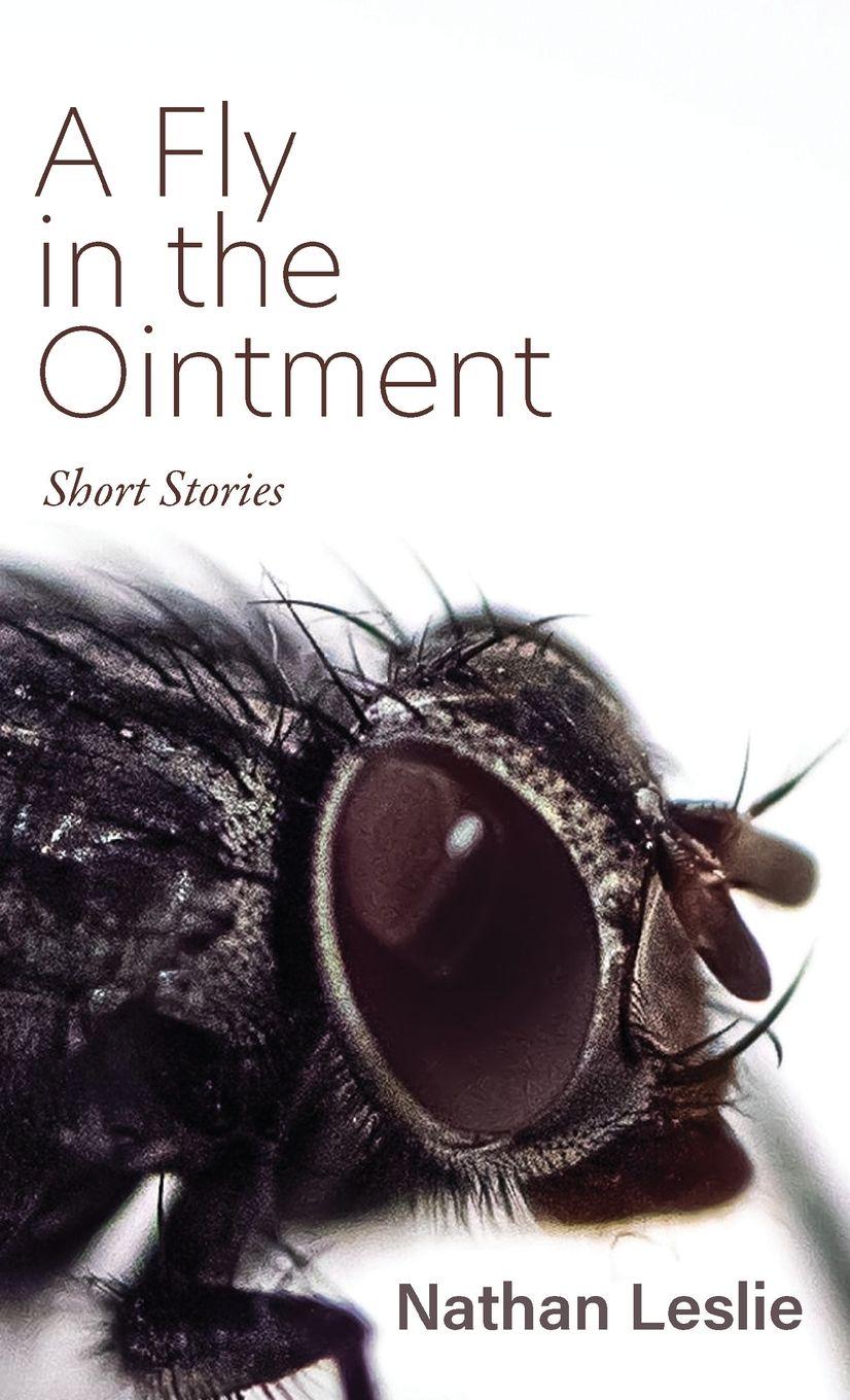 Vorderes Coverbild A Fly in the Ointment