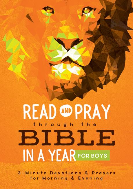 Vorderes Coverbild Read and Pray Through the Bible in a Year for Boys