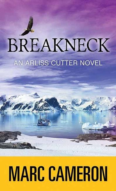 Vorderes Coverbild Breakneck