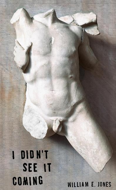 Vorderes Coverbild I Didn't See It Coming