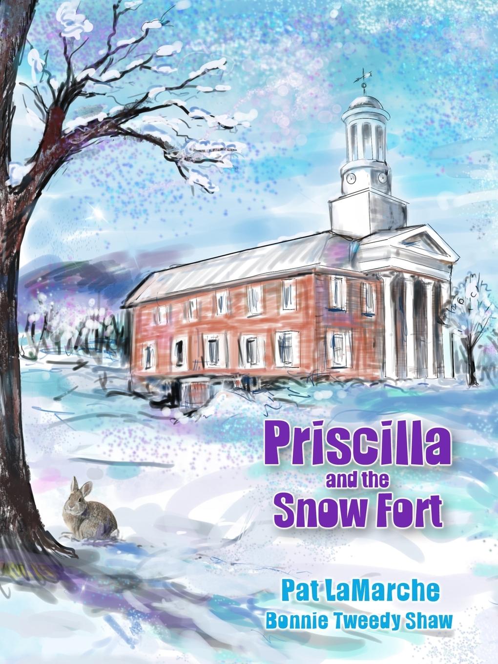 Vorderes Coverbild Priscilla and the Snow Fort