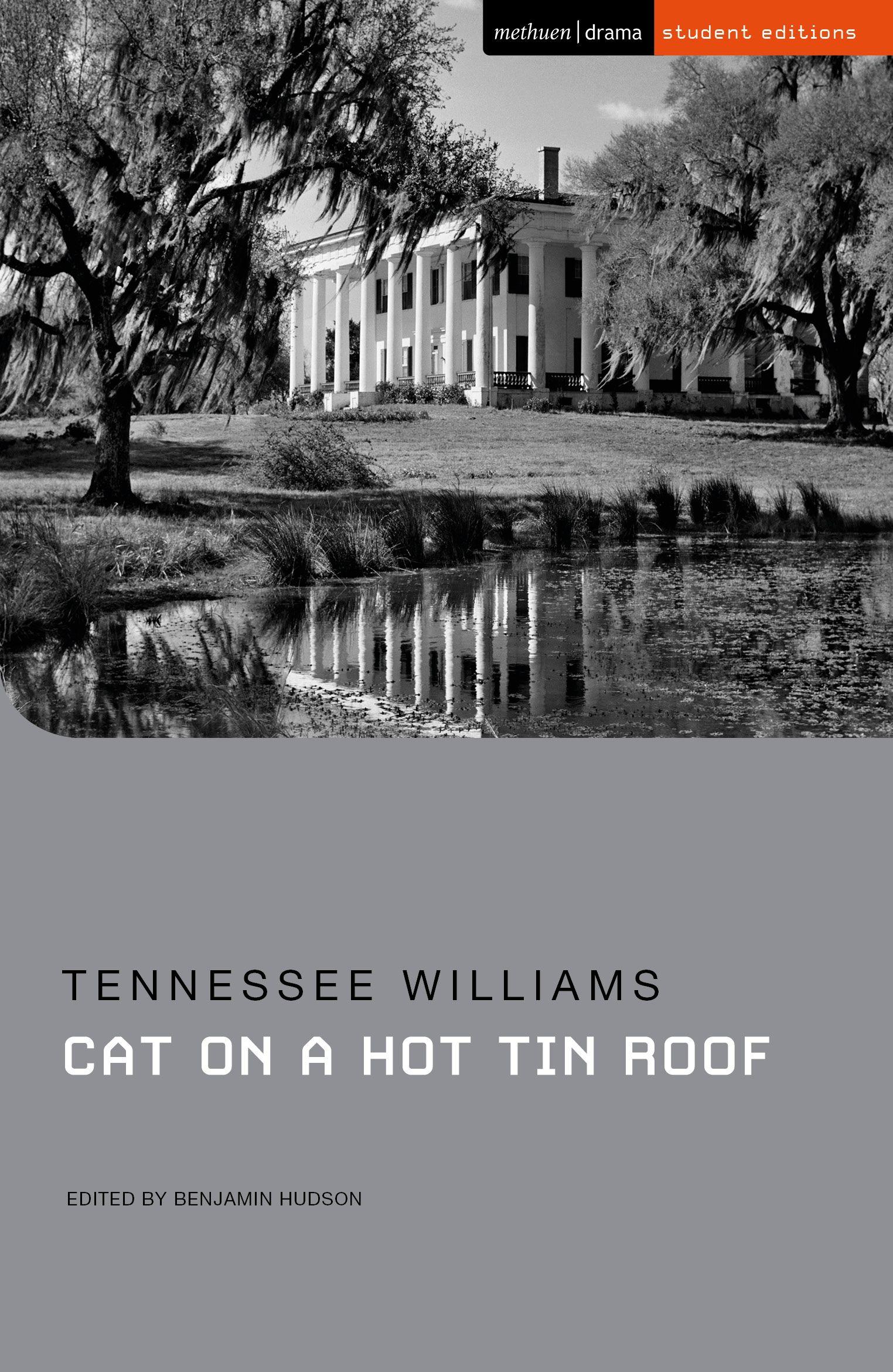 Vorderes Coverbild Cat on a Hot Tin Roof