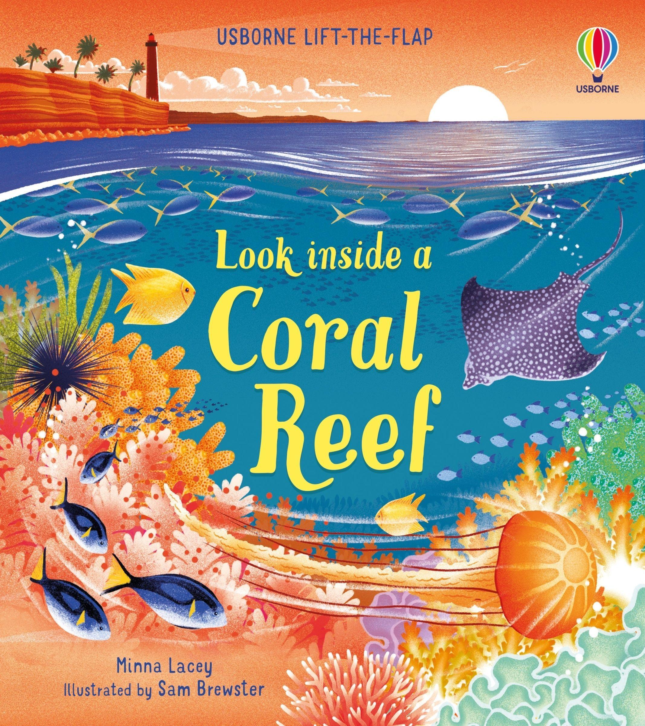 Vorderes Coverbild Look Inside a Coral Reef