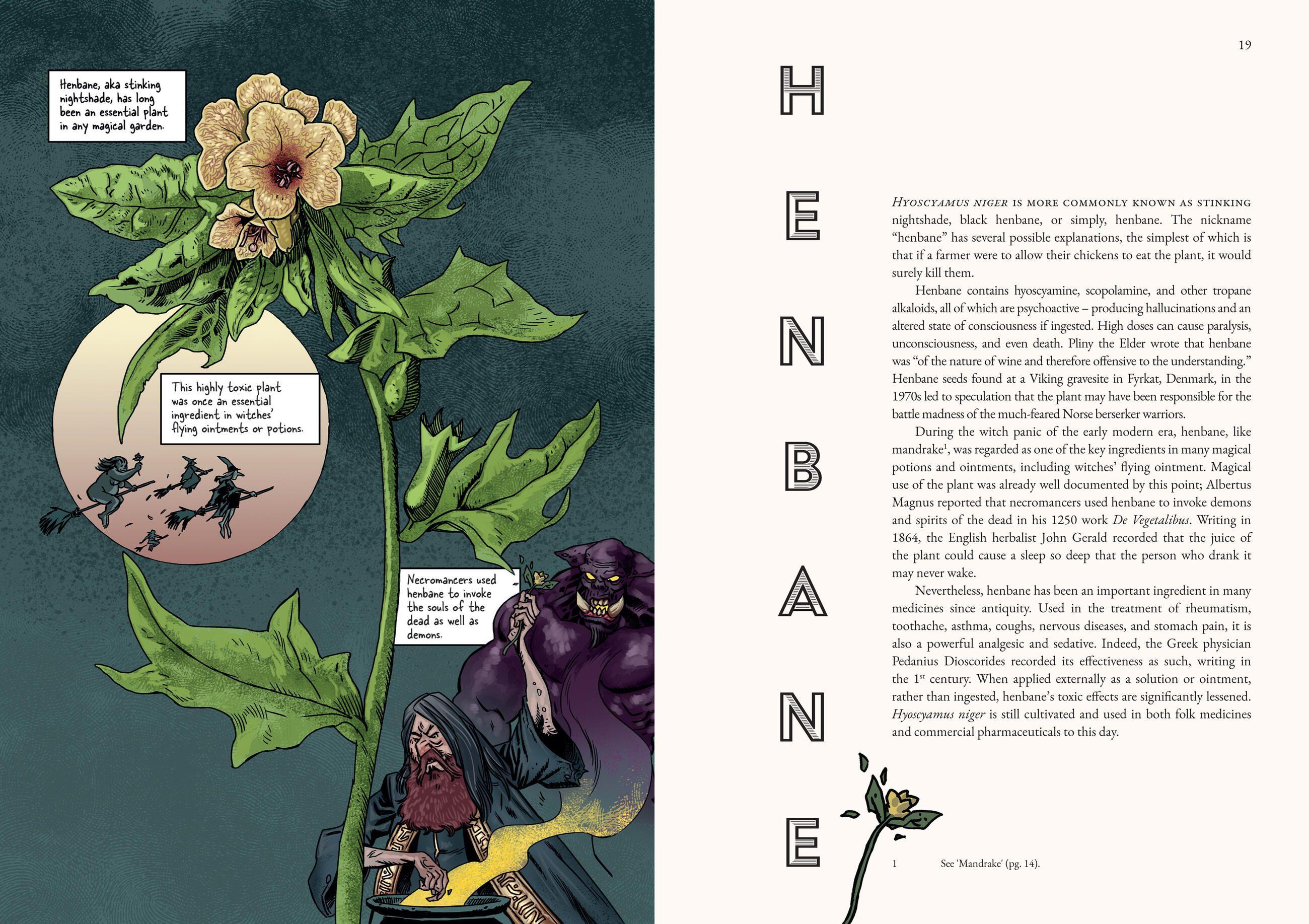 Beispielinhalt (Bild) Fascinating Folklore: A Compendium of Comics and Essays