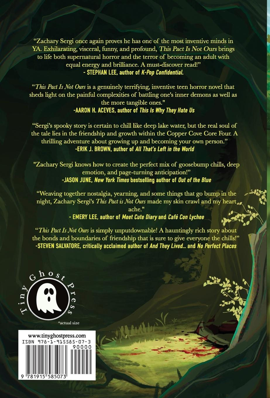 Rückseitencover This Pact Is Not Ours