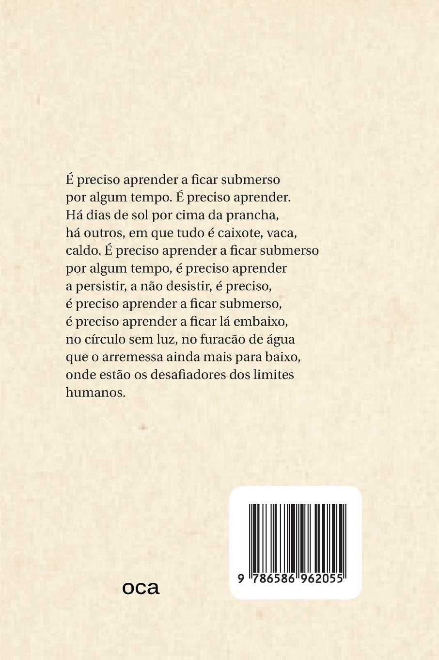 Rückseitencover A Fronteira Desguarnecida