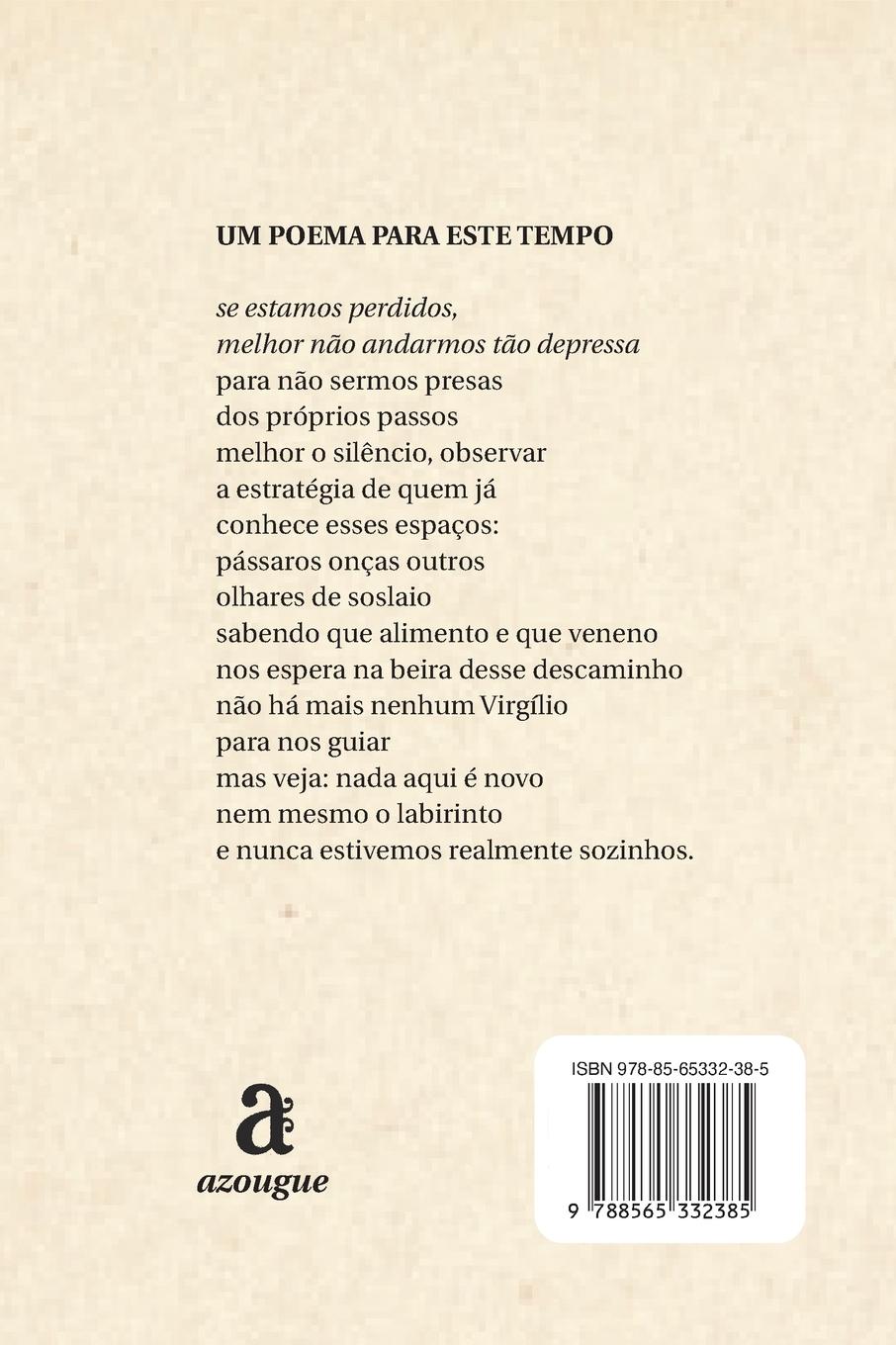 Rückseitencover O Sonhador Insone