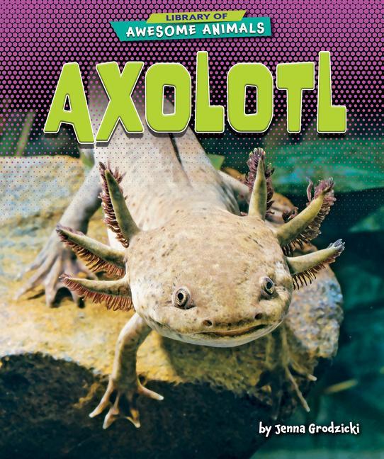 Vorderes Coverbild Axolotl