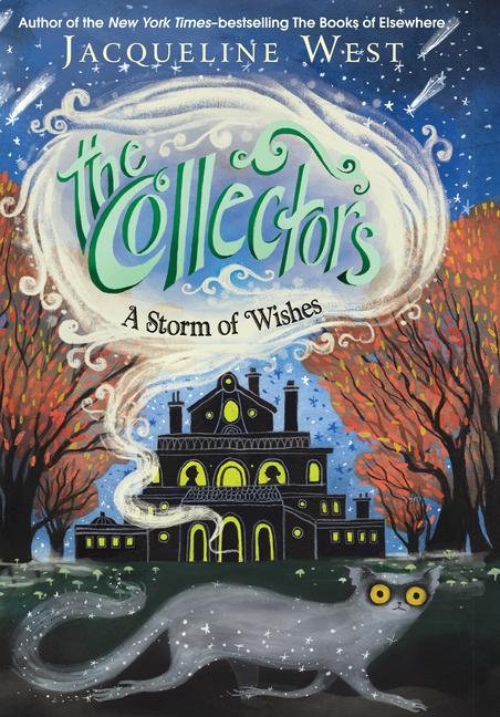 Vorderes Coverbild A Storm of Wishes