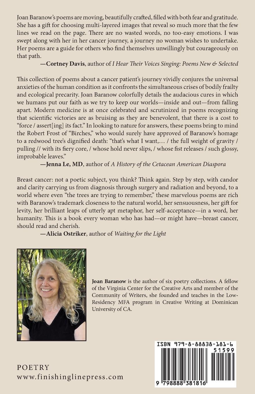 Rückseitencover Aphids in the Rose