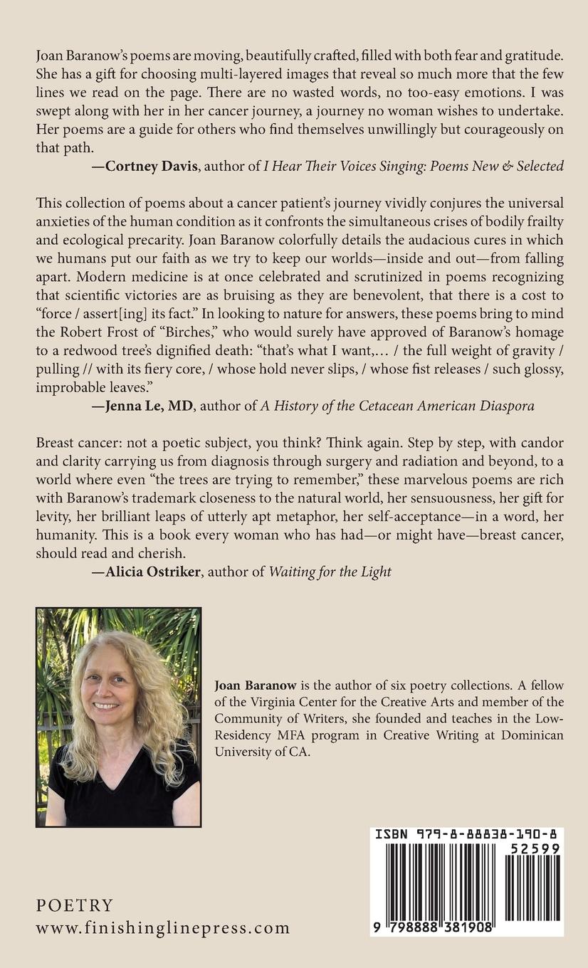 Rückseitencover Aphids in the Rose