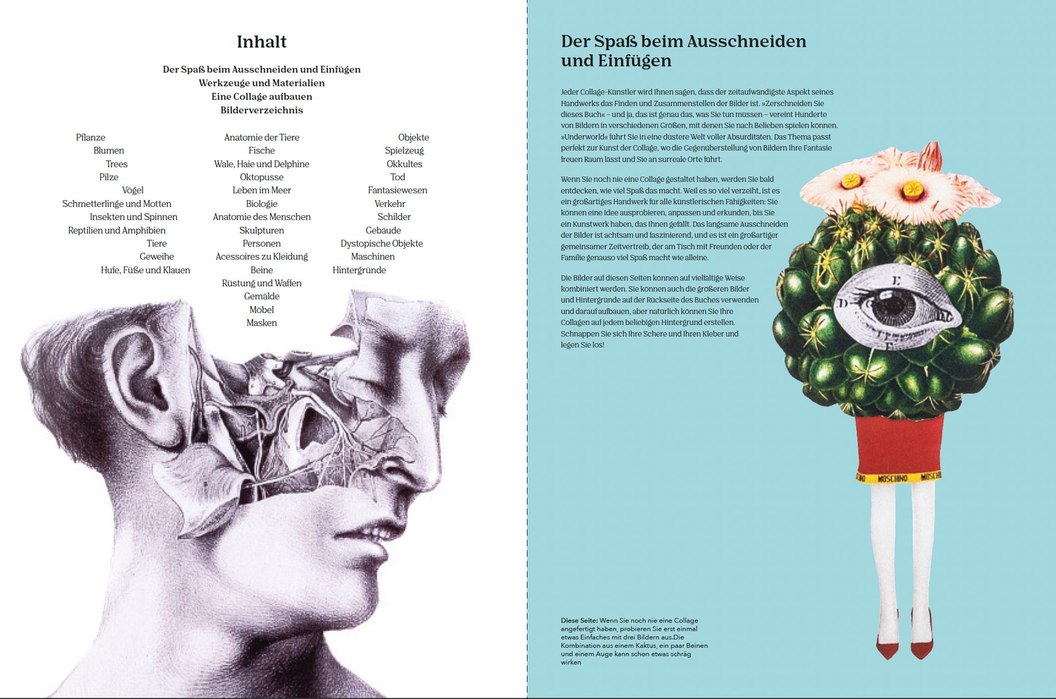 Beispielinhalt (Bild) Collagen Underworld