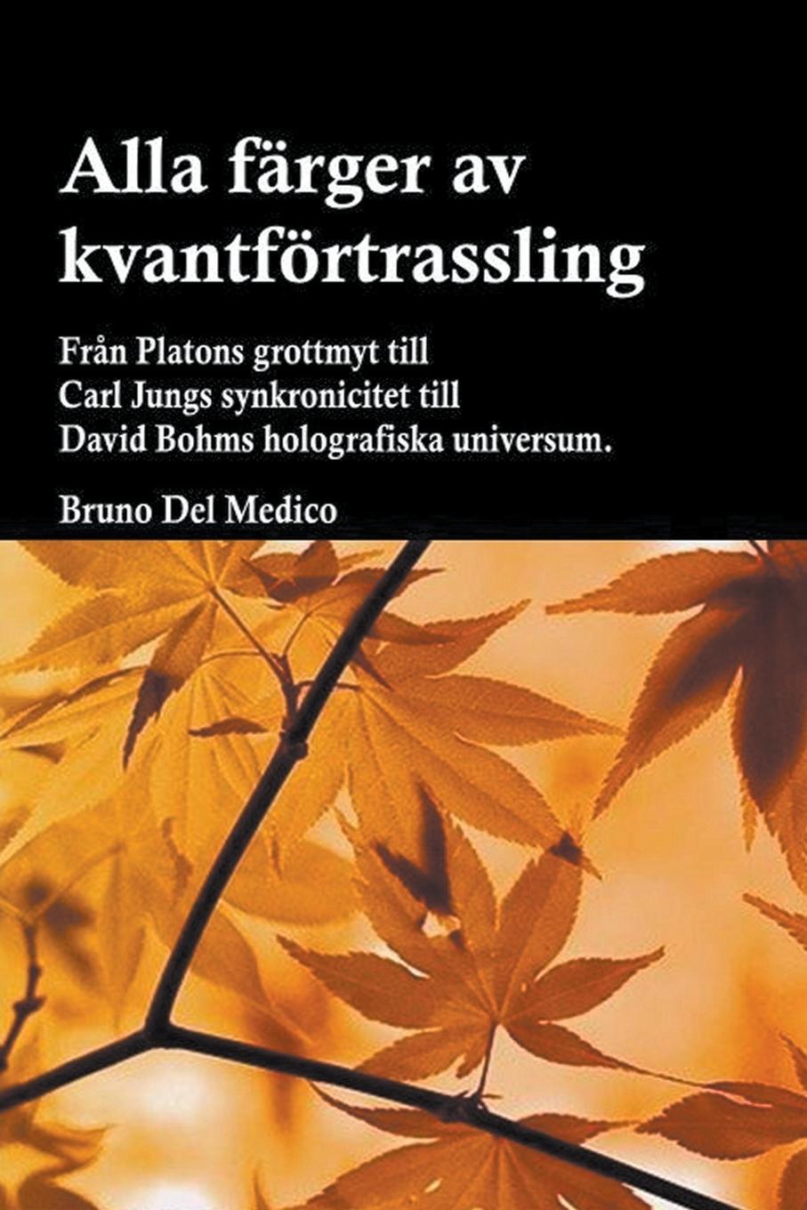 Vorderes Coverbild Alla färger av kvantförtrassling. Från Platons grottmyt till Carl Jungs synkronicitet till David Bohms holografiska universum.