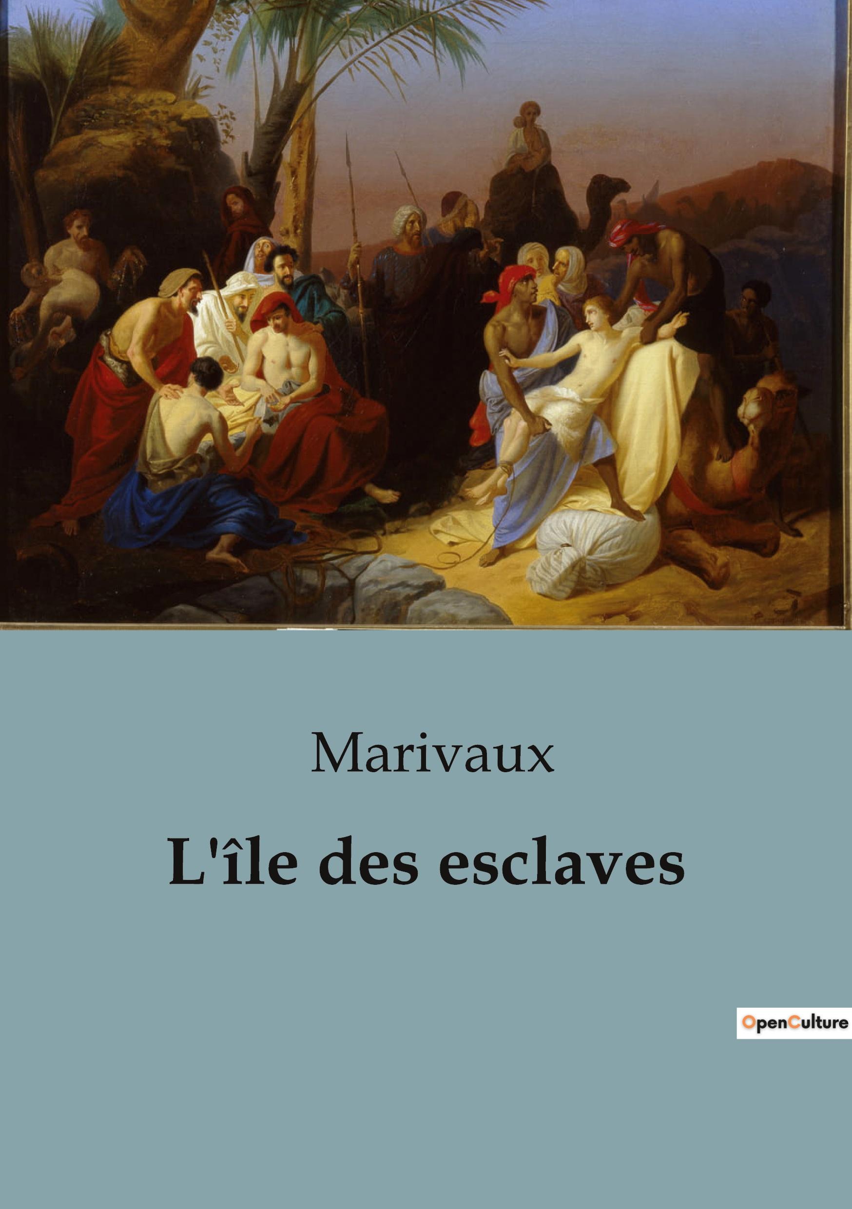 Vorderes Coverbild L'île des esclaves