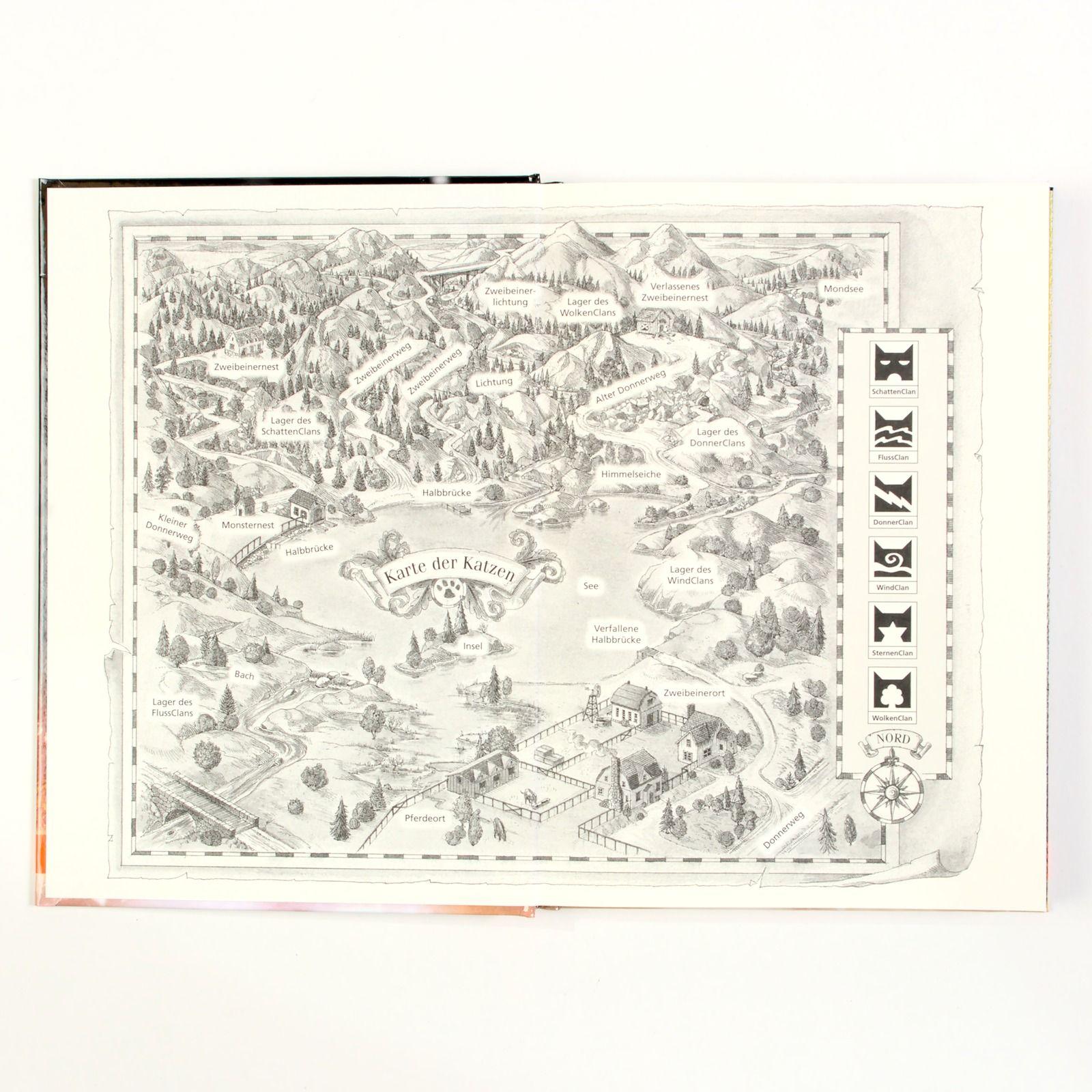 Beispielinhalt (Bild) Warrior Cats - Adventskalenderbuch