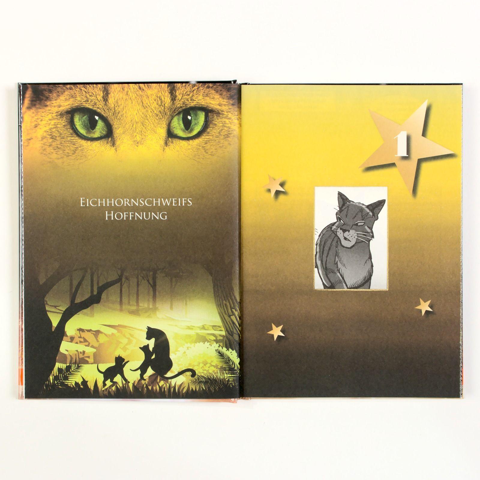 Beispielinhalt (Bild) Warrior Cats - Adventskalenderbuch
