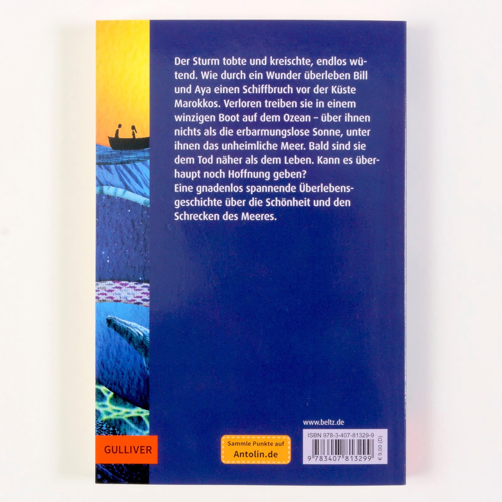 Rückseitencover Allein auf dem Meer