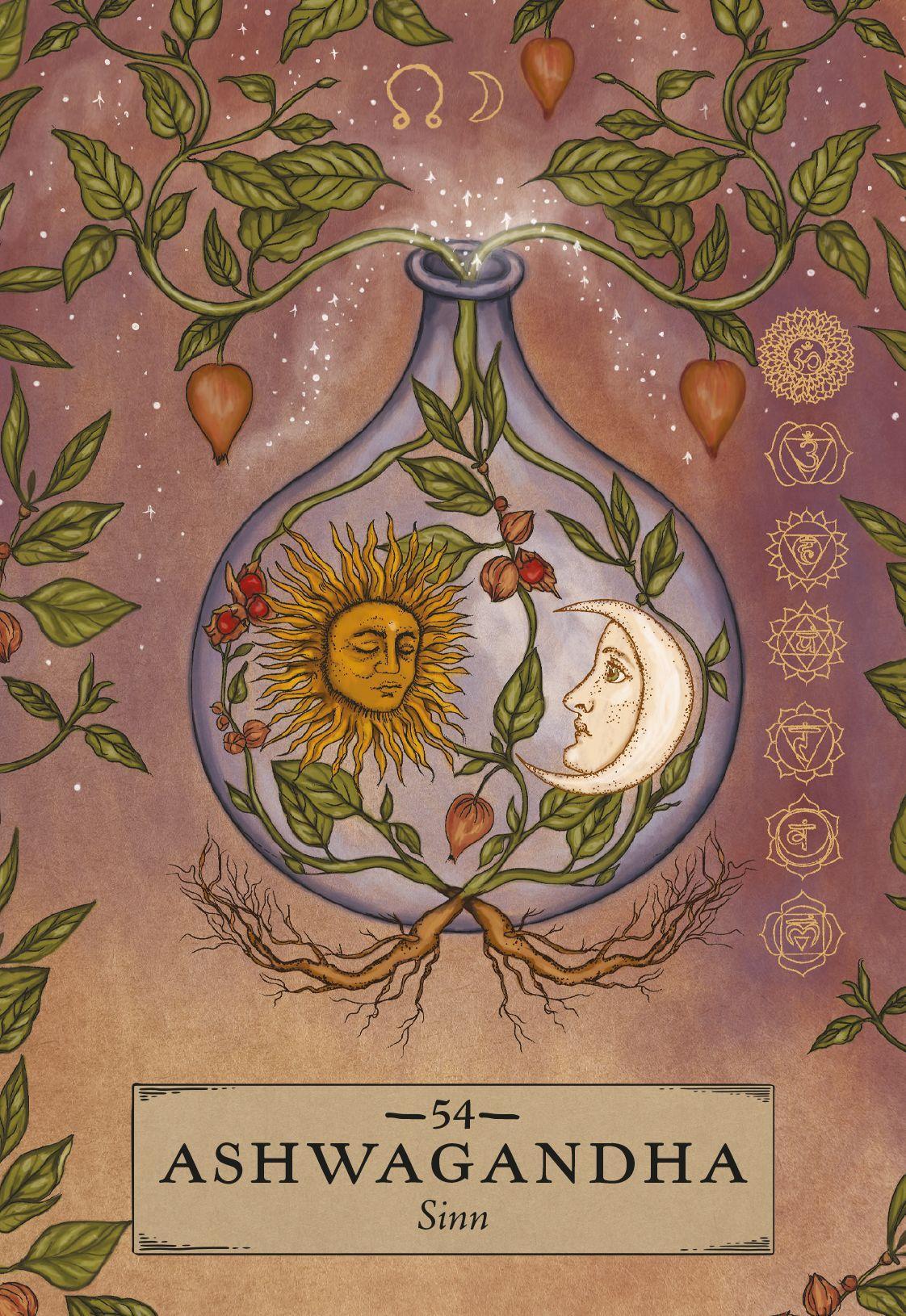 Beispielinhalt (Bild) Herbal Astrology Orakel: 55 Karten mit Botschaften und Anleitungen