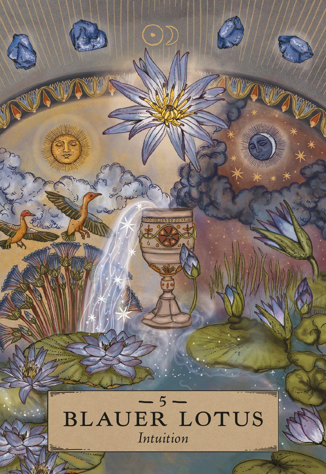 Beispielinhalt (Bild) Herbal Astrology Orakel: 55 Karten mit Botschaften und Anleitungen