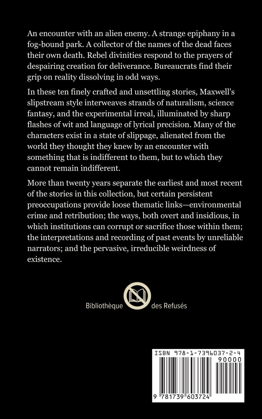 Rückseitencover Fluctuation in Disorder