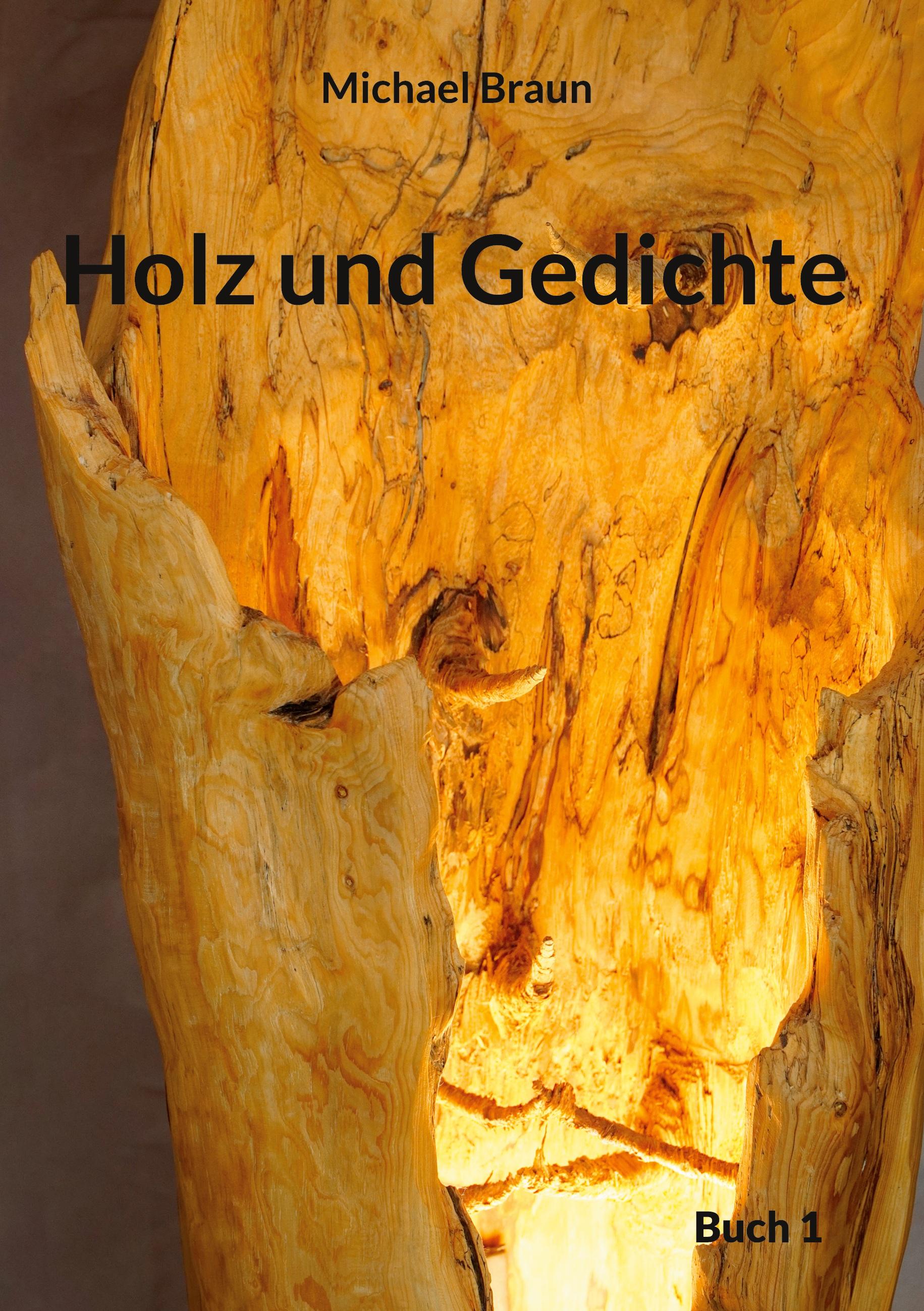Vorderes Coverbild Holz und Gedichte