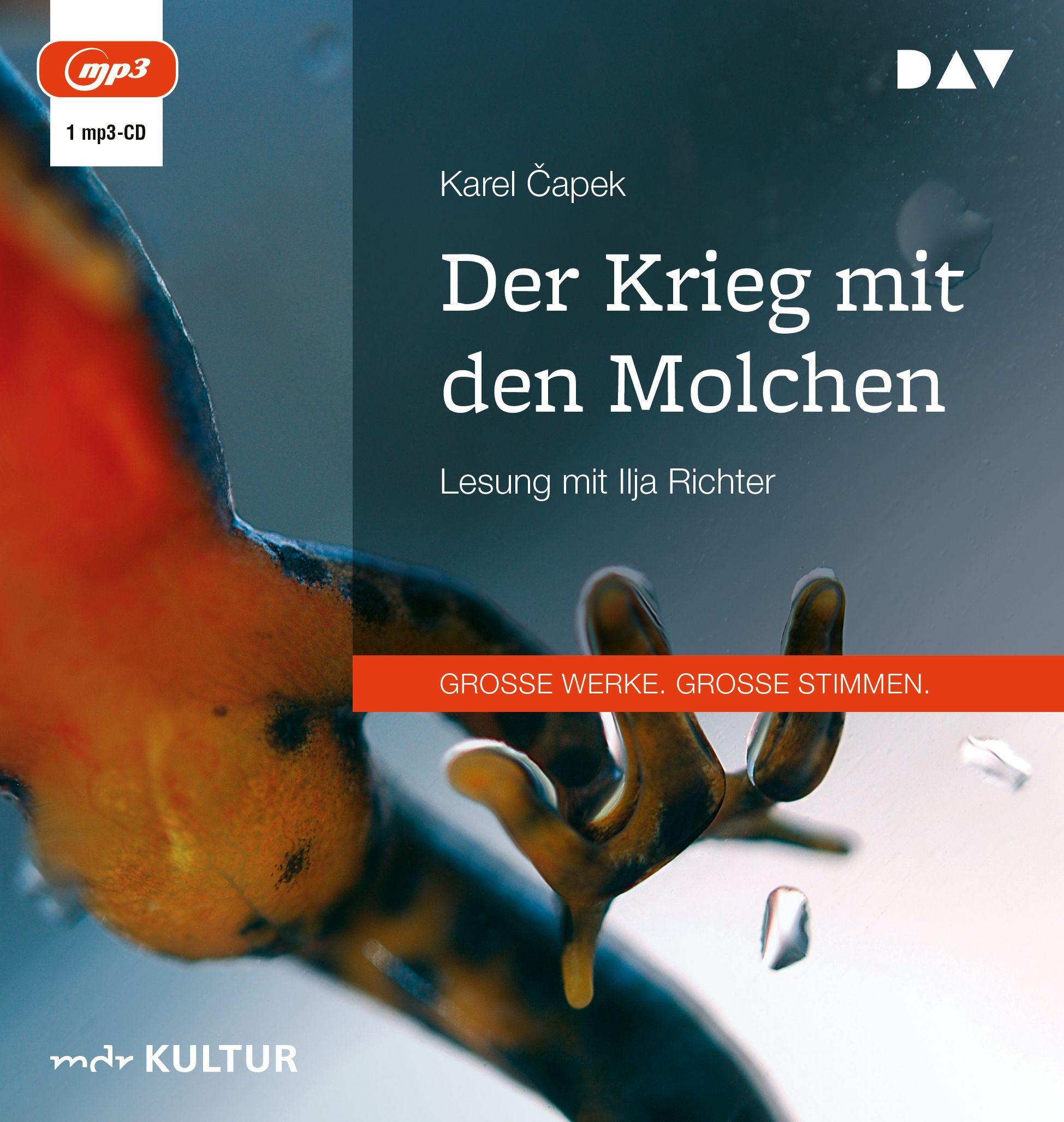 Vorderes Coverbild Der Krieg mit den Molchen