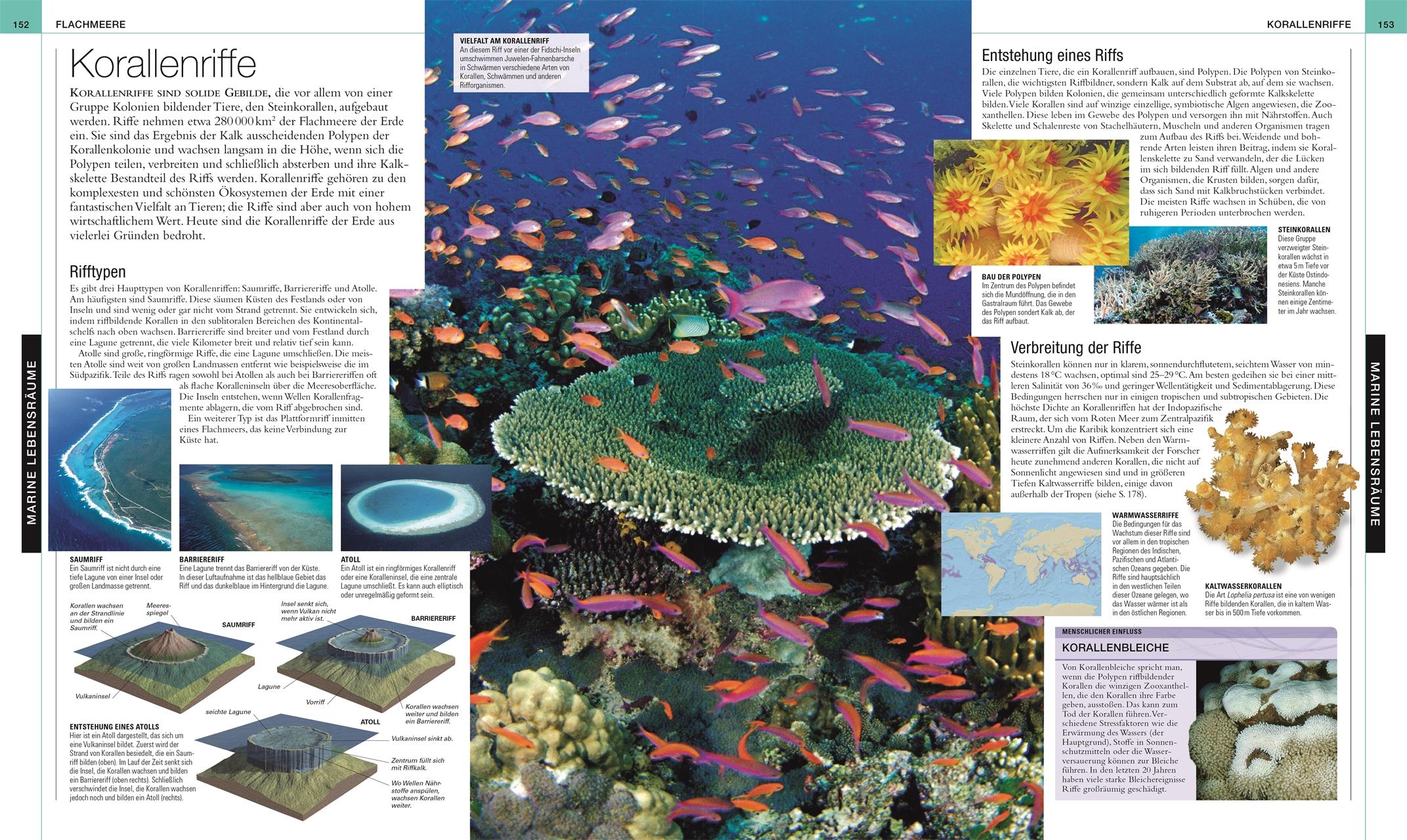 Beispielinhalt (Bild) Ozeane