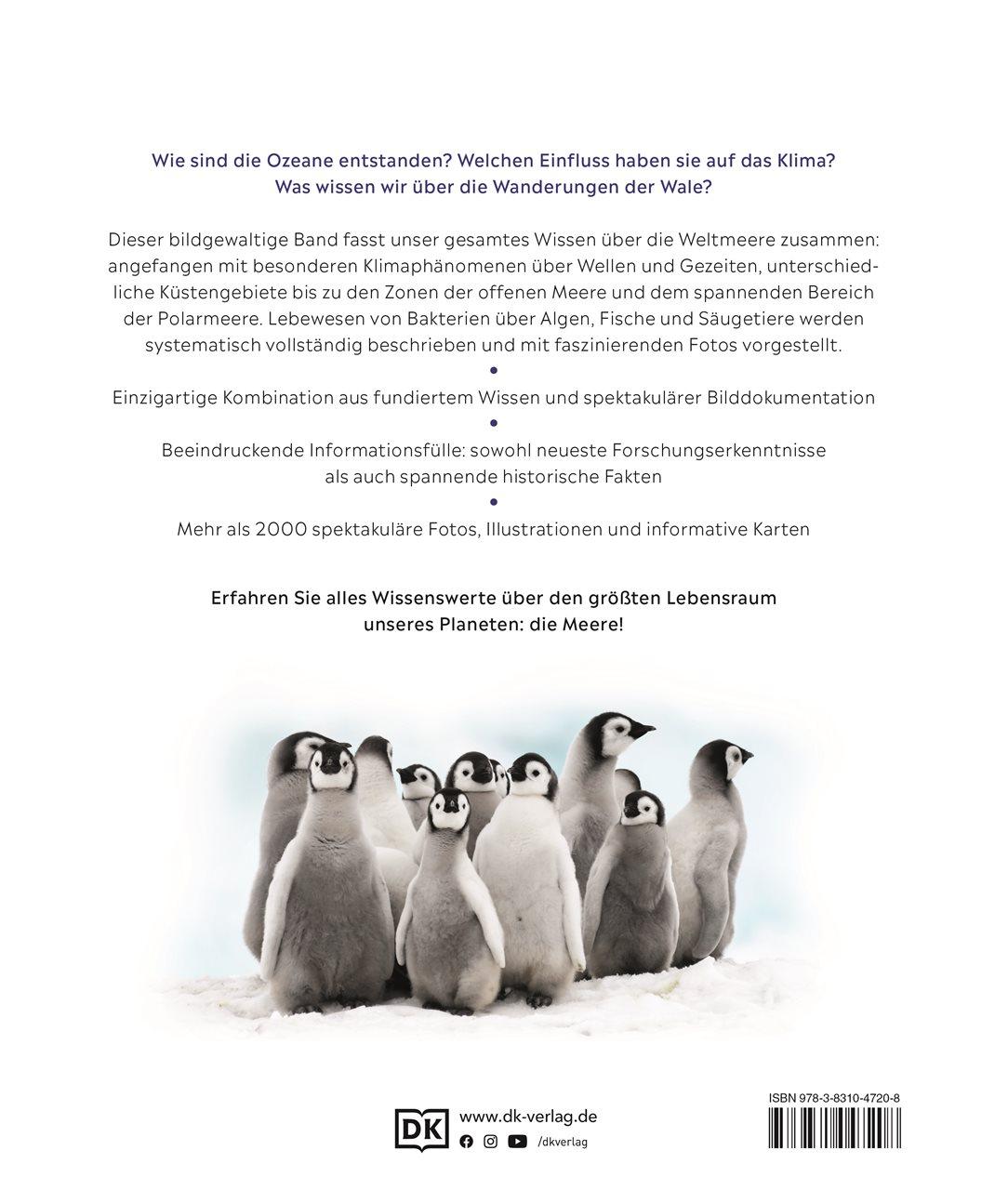 Rückseitencover Ozeane