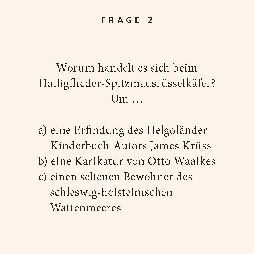 Beispielinhalt (Bild) Nordseeküste-Quiz