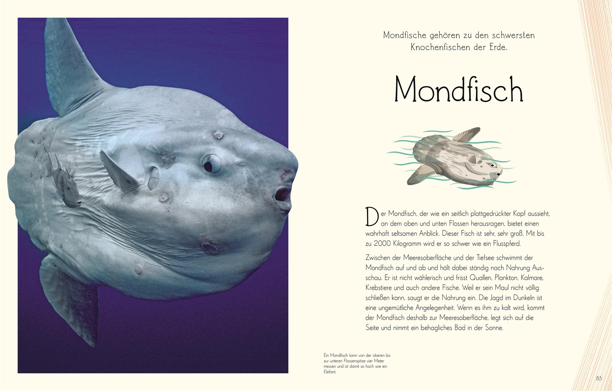 Beispielinhalt (Bild) Wundervolle Welt. Wasser