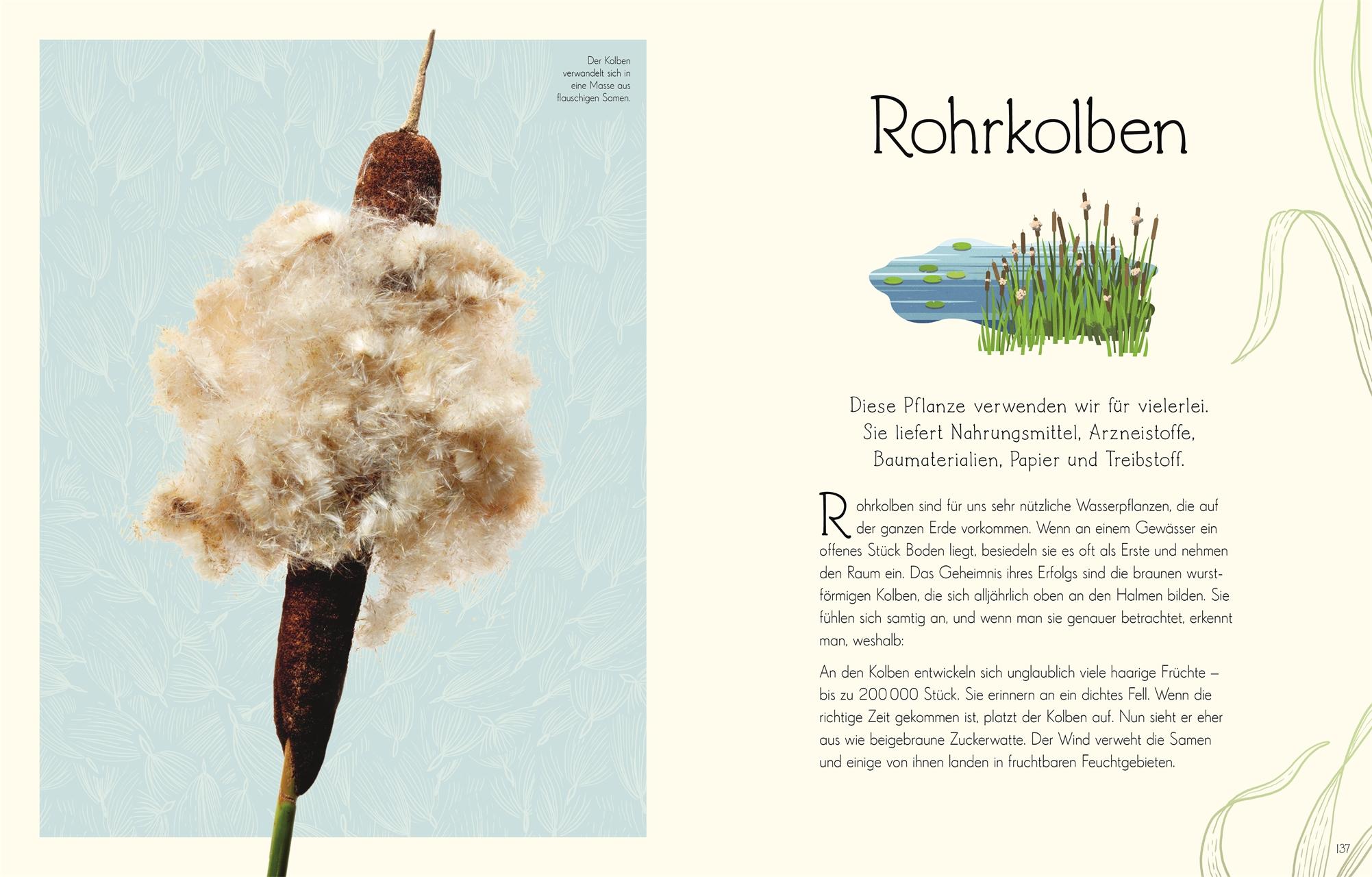 Beispielinhalt (Bild) Wundervolle Welt. Wasser