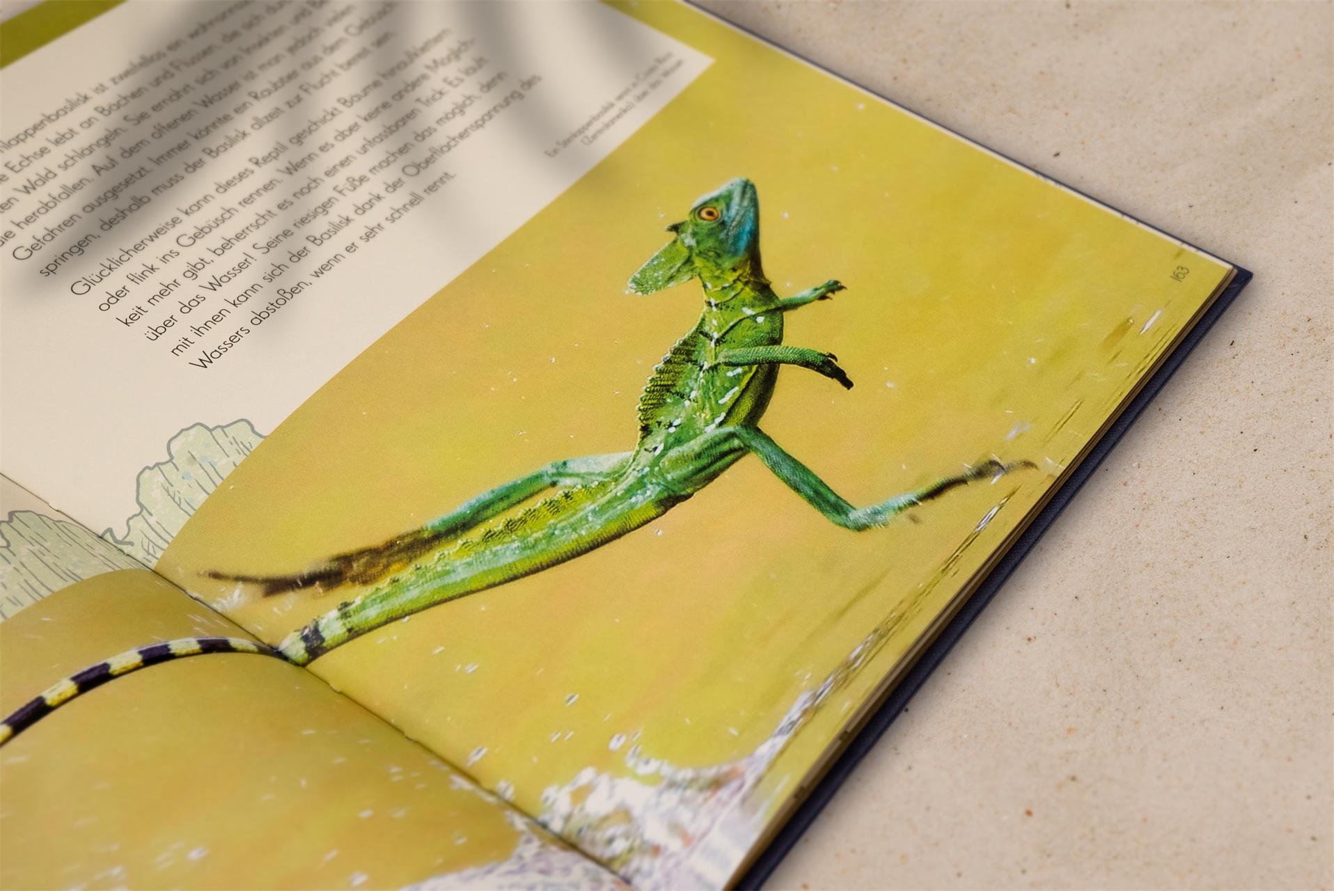 Beispielinhalt (Bild) Wundervolle Welt. Wasser