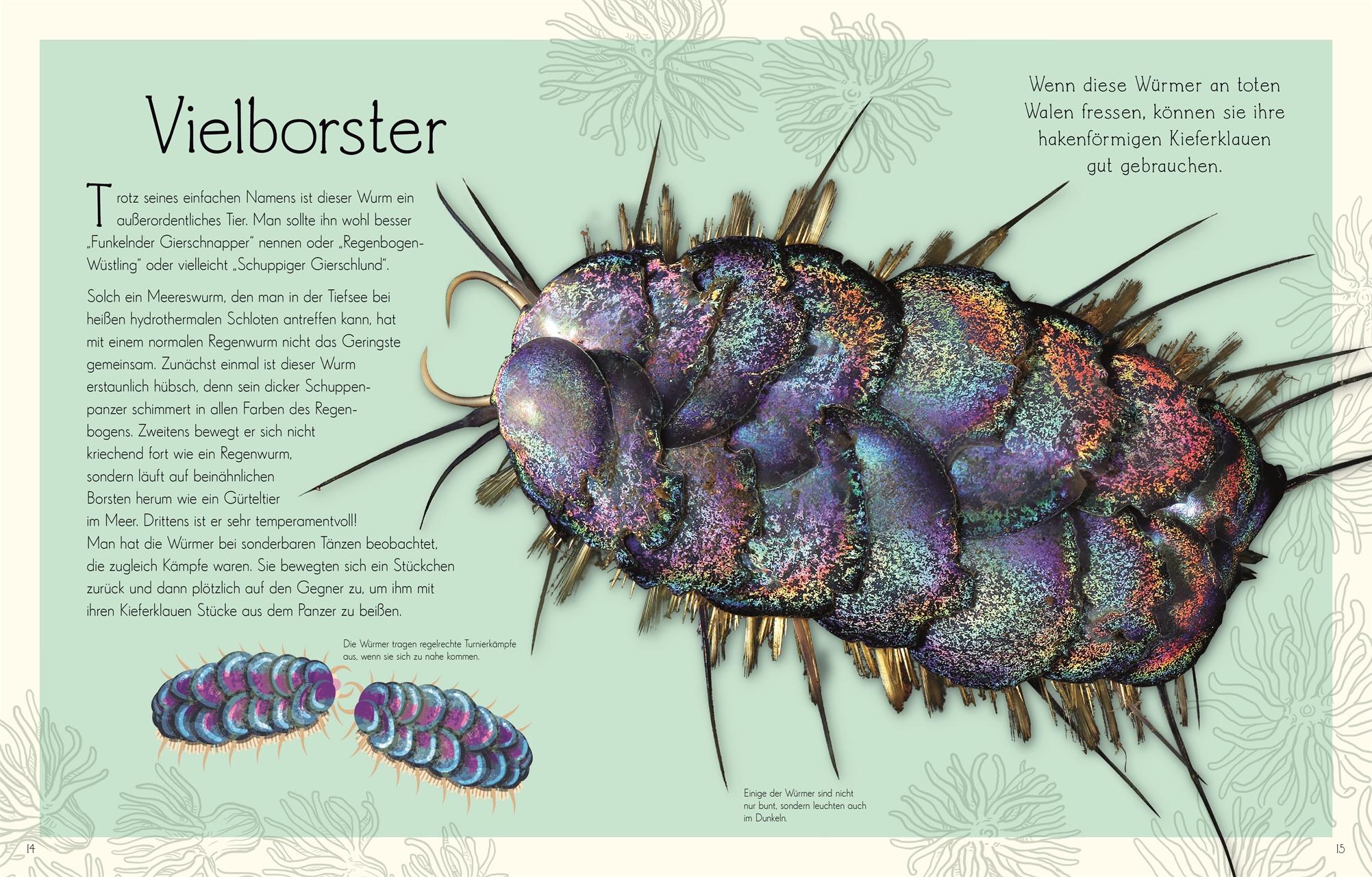 Beispielinhalt (Bild) Wundervolle Welt. Wasser