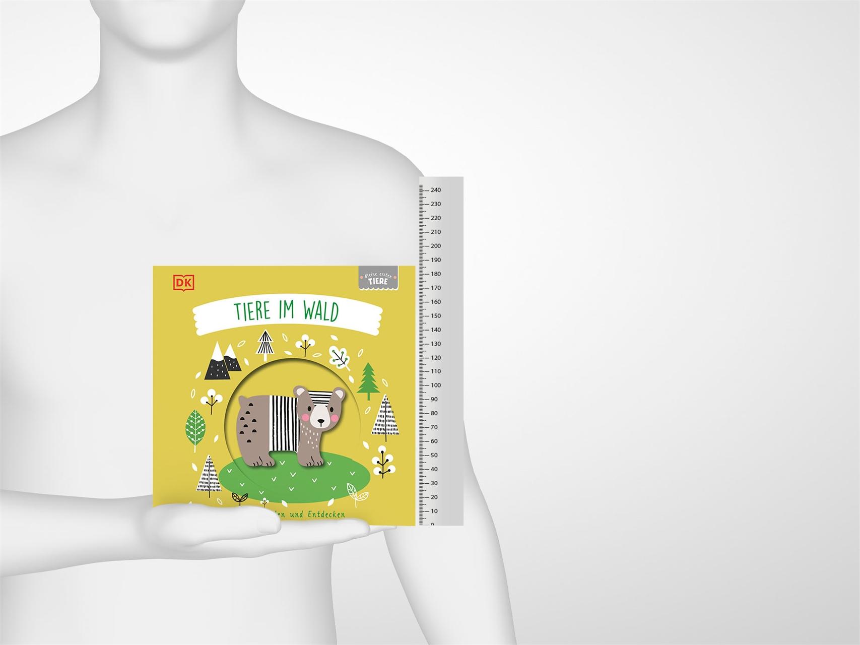 Beispielinhalt (Bild) Meine ersten Tiere. Tiere im Wald