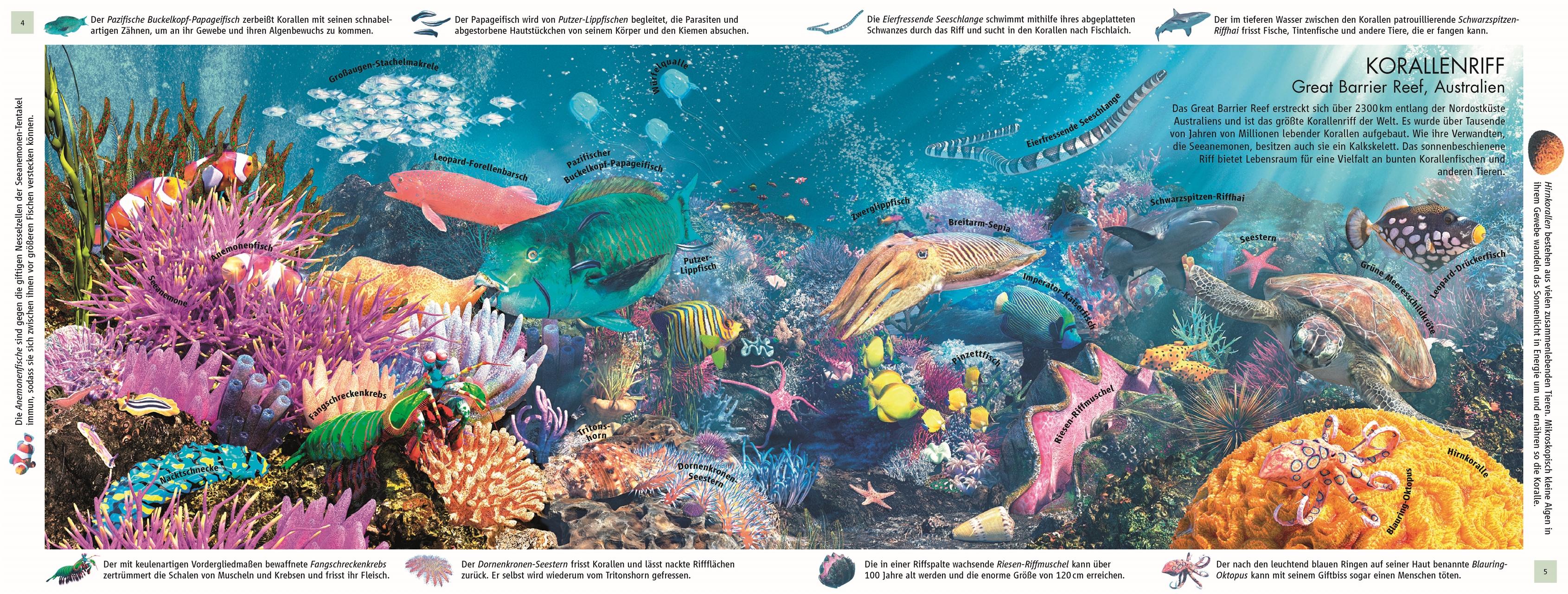 Beispielinhalt (Bild) Lebensräume der Erde