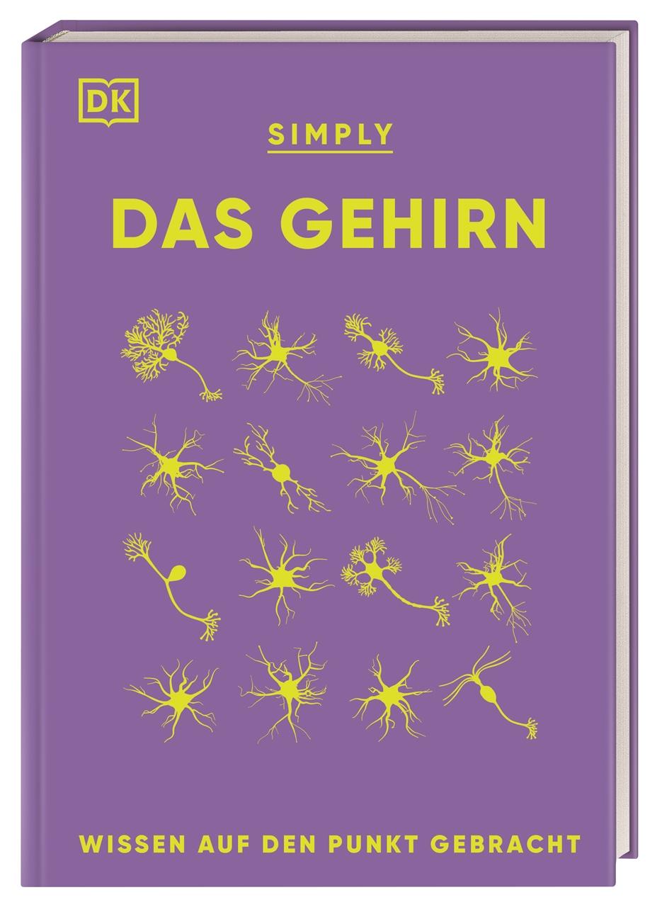 Vorderes Coverbild SIMPLY. Das Gehirn