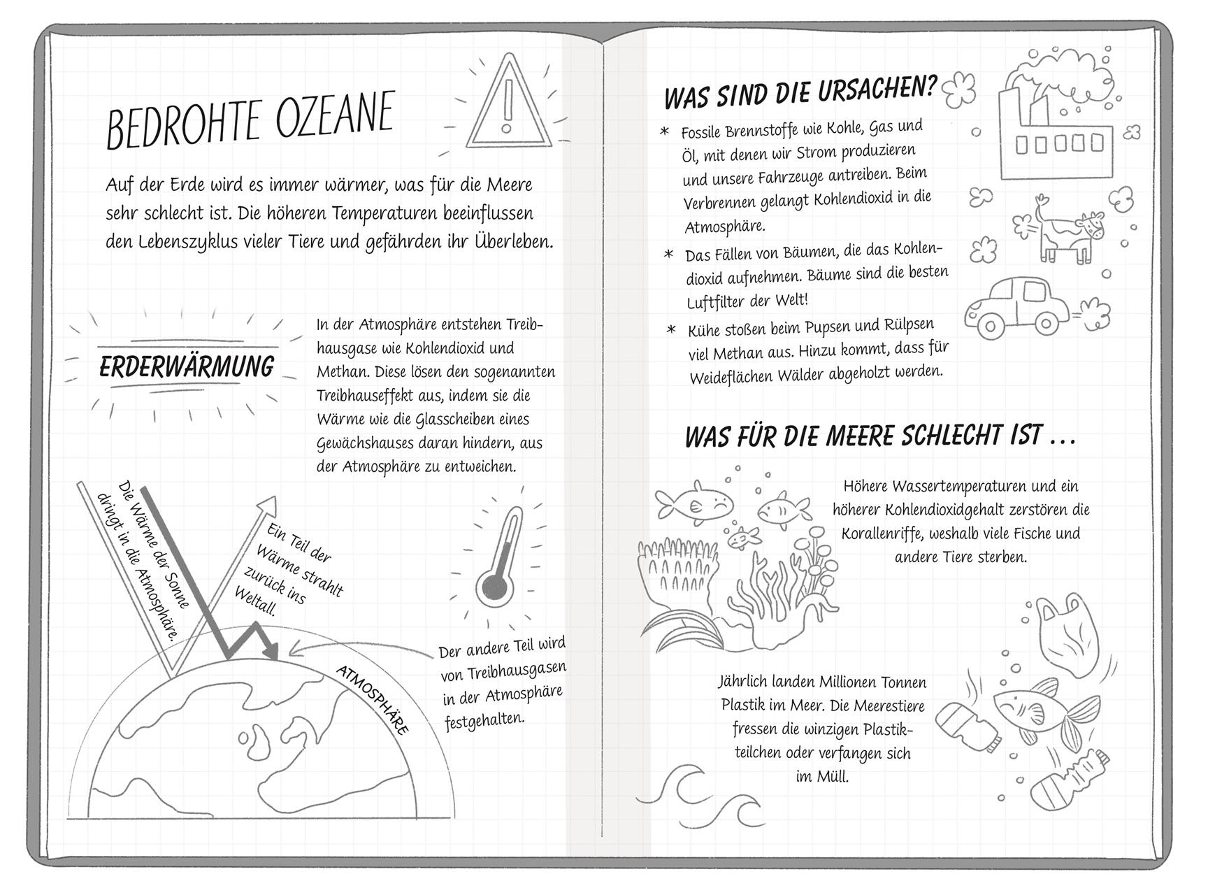 Beispielinhalt (Bild) Ein Fall für die Forscher-Kids 1. Rettet die Wale!