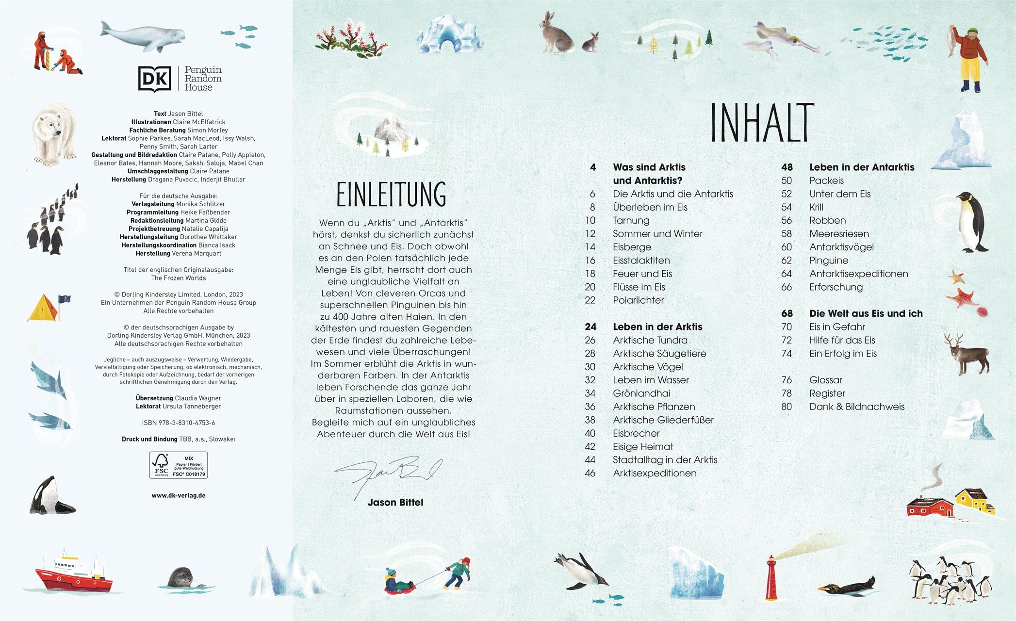 Beispielinhalt (Bild) Welt aus Eis